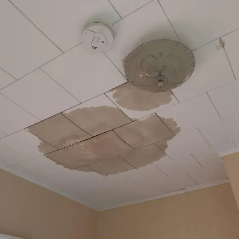 Ceiling Water Damage Repair in Powder River County, MT