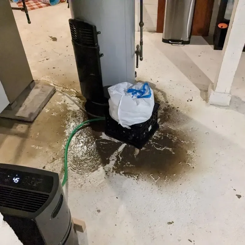 Sewage Backup Cleanup Service in Powder River County, MT